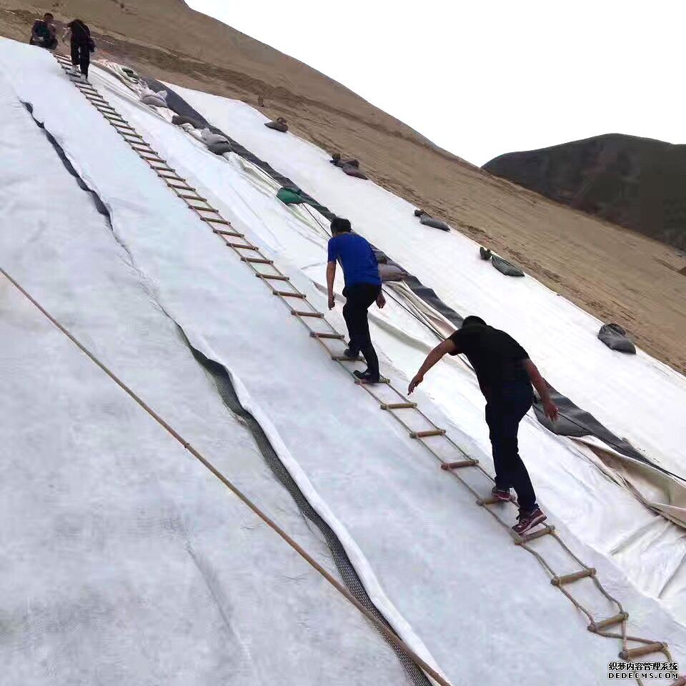 膨潤土防水毯等各種方案工程風(fēng)險(xiǎn)對比