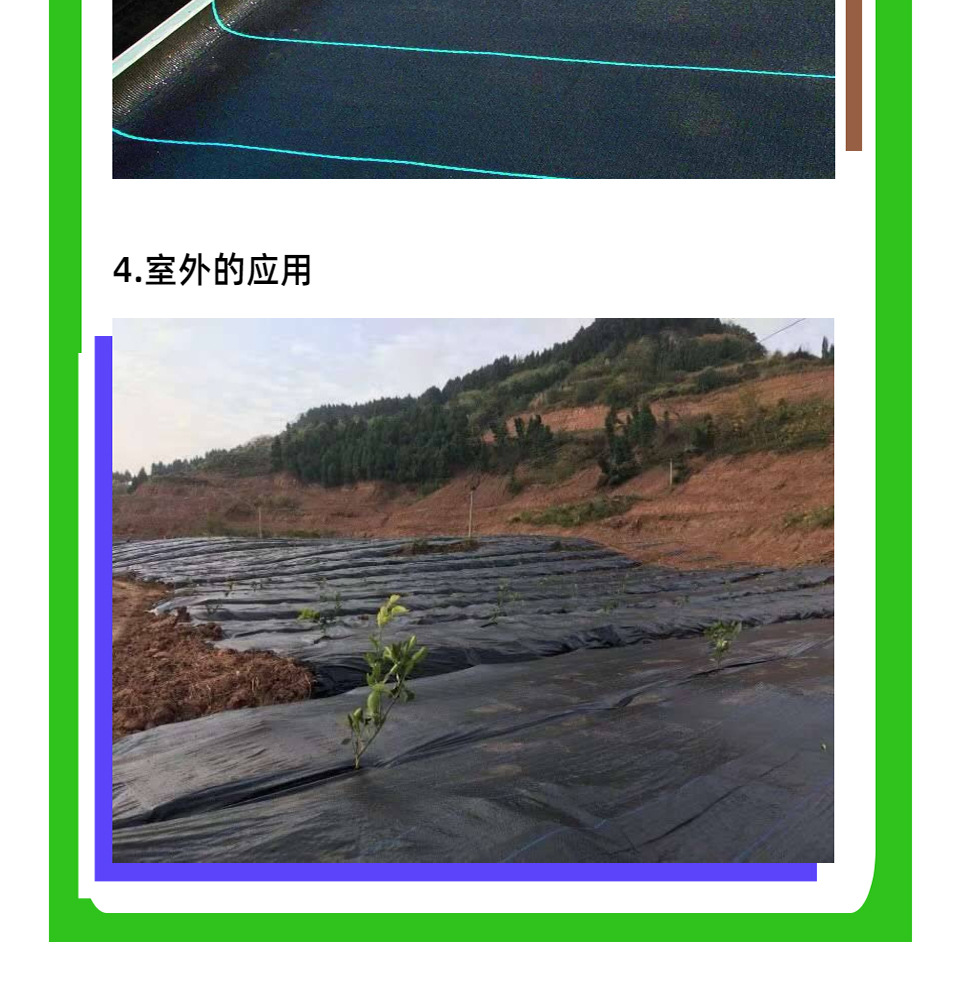 6.jpg 6.jpg