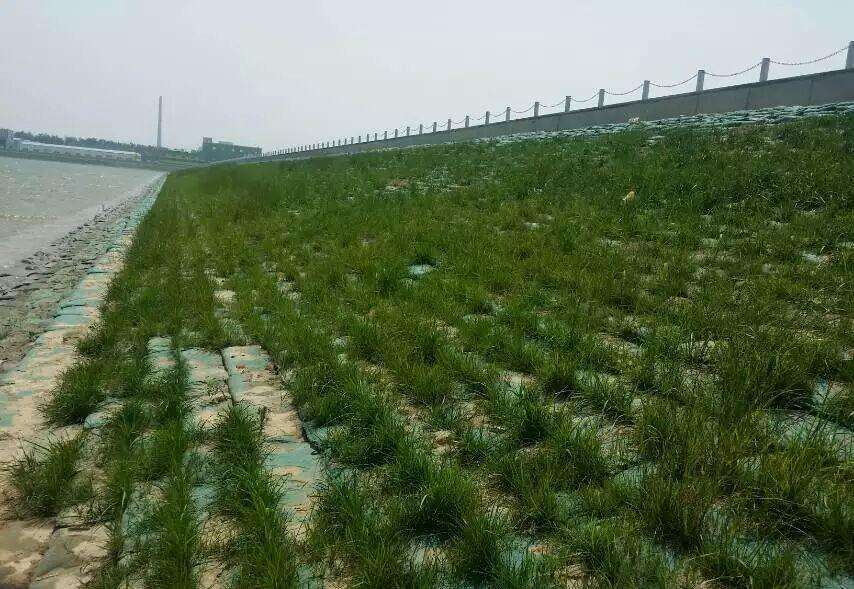 常用的海島邊坡修復(fù)技術(shù)有哪些？如何修復(fù)海島邊坡？