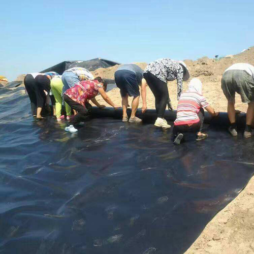 結(jié)合場地周邊情況以及圍堰工程使用要求，圍堰等級是多少